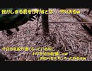 （お知らせとかしながらわな追加）変態忍者の、有害鳥獣駆除従事活動記・その１６０