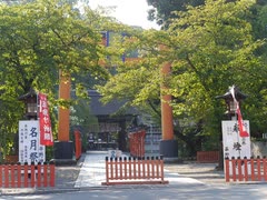 シーイーの古都京都巡り038平野神社