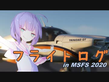 フライトログ in MSFS2020