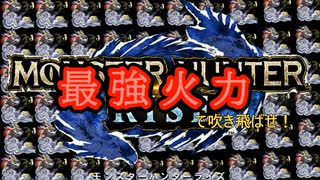 淵源ヒメ100体連続、ソロで倒した男が最強装備を携えて帰ってきた！