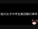【ゆっくり朗読】ゆっくりさんと日本事件簿 その302