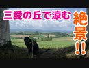 2021/06/13放送【72日目 北海道 美瑛町 絶景！三愛の丘であずきと休憩してみた♪】北海道全市町村制覇するまで帰れまてん！　猫と車中泊の旅　日本縦断【旅猫あずき～保護猫から旅猫へ～】