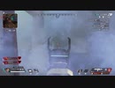 結局殴りが最高説はある。【APEX】