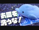 【超入門】アルミ式皿交換法【イルカの知恵】
