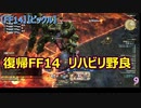 【FF14】【ビックル】　復帰FF14　リハビリ野良　9