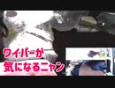 【旅猫あずき】ワイパーが気になるニャン【雨の日☔車載ライブから】