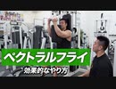 【初心者】ペクトラルフライの効果的なやり方 | 大胸筋の内側に効く収縮種目【ビーレジェンド プロテイン】