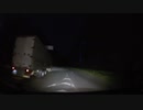 【鹿】2021.06.08PM 富士山麓 十里木街道 標高1000M （富士裾野線：静岡県道24号～国道469号）