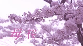 母桜 HAHA-ZAKURA faet アルスロイド