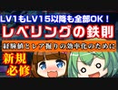 【PSO2NGS】効率レベリング＆レアドロ掘り狩りの鉄則を解説します【初心者・新規】