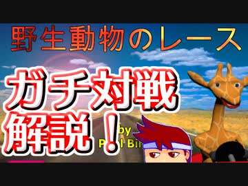 バーチャルいいゲーマー　佳作選　実戦！野生動物のレース（Wild Animal Racing）編。
