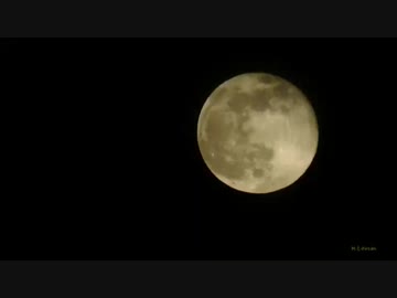 サンバ 21年06月14日19時03分 ニンポーさんの囲いみなさんへ ニコ生録画 ニコニコ動画