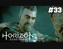 【ホライゾンゼロドーン】メインクエスト 落ちる陽#33(実況動画)