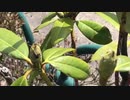 無条件の波動４０７　～愛の波動を感じて～