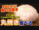 本当に丸い!!「鶏の丸焼き」作ってみたwww