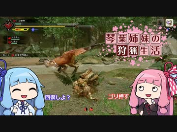 琴葉姉妹の狩猟生活 ～カムラの里～ 9日目