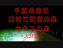 千葉最強心霊スポット　【若竹慰霊の森　カラスの森】