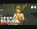 【ゼルダの伝説ブレスオブザワイルド】りんごと目玉を間違えました【実況プレイ】#4