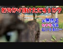 2021/06/14放送【73日目 北海道 空知郡中富良野町 あずにゃんぽ（猫散歩）】北海道全市町村制覇するまで帰れまてん！　猫と車中泊の旅　日本縦断【旅猫あずき～保護猫から旅猫へ～】