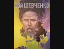 Моя бібліотека: як японець живе з мовами.