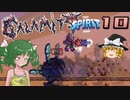 【ゆっくり実況】この厄災の只中で part10【Terraria Calamity&Spirit】