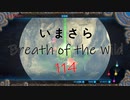 【実況プレイ】いまさらゼルダの伝説 Breath of the Wild: 114