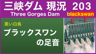 ●三峡ダム● 203 ブラックスワンの足音（黒い白鳥） ●最新の水位は145m 最新情報 三峡大坝の現状　決壊の危機は　The Three Gorges Dam(3GD) 直播 China