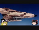 帰ってきた空中機雷？ #3 【BAe ALARM】