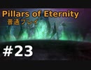 【ゆっくり実況】Pillars of Eternity 普通プレイ23
