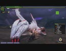 【MHF-Z】極み駆けるナルガクルガ 太刀 タイムアタックの真実 【実装時の火力】