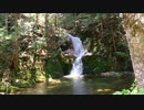 癒しの滝音！【山口県指定 名勝・日本名水百選】 寂地峡(じゃくち きょう)　五龍の滝から「竜尾の滝」と渓流・寂地川