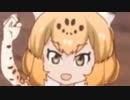 アシュリーのジャーガ