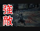 (ブラッドボーン #8)強敵をある意味一撃で倒してやったわW