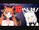 【桐生ココ】誕生日を迎えたココ会長に猫耳をプレゼントするフブキちゃん【白上フブキ/ホロライブ切り抜き】