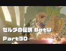 今更始めるゼル伝BotW実況 Part30