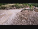 大人気金ちゃん温泉　那須温泉　貸切温泉