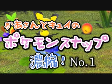 【親子】【母娘】かあさん、ポケモンにちょっとハマりだす【ポケモンスナップ】