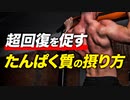 「骨格筋の働き」と「超回復を促す たんぱく質の摂り方」【ビーレジェンド プロテイン】