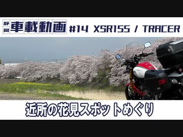#14 XSR155 近所の花見スポットめぐり