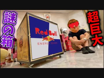 レッド通り越してブル公式から謎のデカすぎる！箱届いたので開封！【RedtorikositeBull】