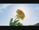 【実写MV】Crescendo feat.rin【オリジナル】
