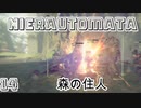 【NieRAutomata】14見た目は不気味、声はかわいい機械生命体と森の民族