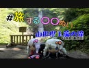山形の滝見て帰ってきただけになった「#旅する〇〇ぬい」企画１旅目【最終回】