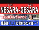 目覚めよ日本人 vol.13「NESARA/GESARA（ネサラ・ゲサラ）本当に期待していいの？結局は◯◯◯に繋がるのでは…？」