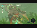 続編出るまでにBotWクリアしときたいマン　クリア後part1
