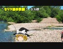 ゆっくり実況における　セリフ後の余韻