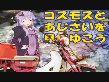 カブ旅どうでしょう～奈良 般若寺へ～