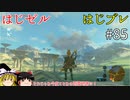 【ゆっくり実況】はじめてのゼルダはじめてのブレワイ part85【ゼルダの伝説ブレスオブザワイルド】