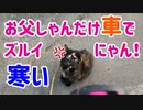 2021/06/16放送【75日目 北海道 中川郡幕別町 道の駅忠類あずにゃんぽ（猫散歩）】北海道全市町村制覇するまで帰れまてん！　猫と車中泊の旅　日本縦断【旅猫あずき～保護猫から旅猫へ～】