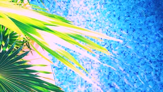 Hot Vacation spots